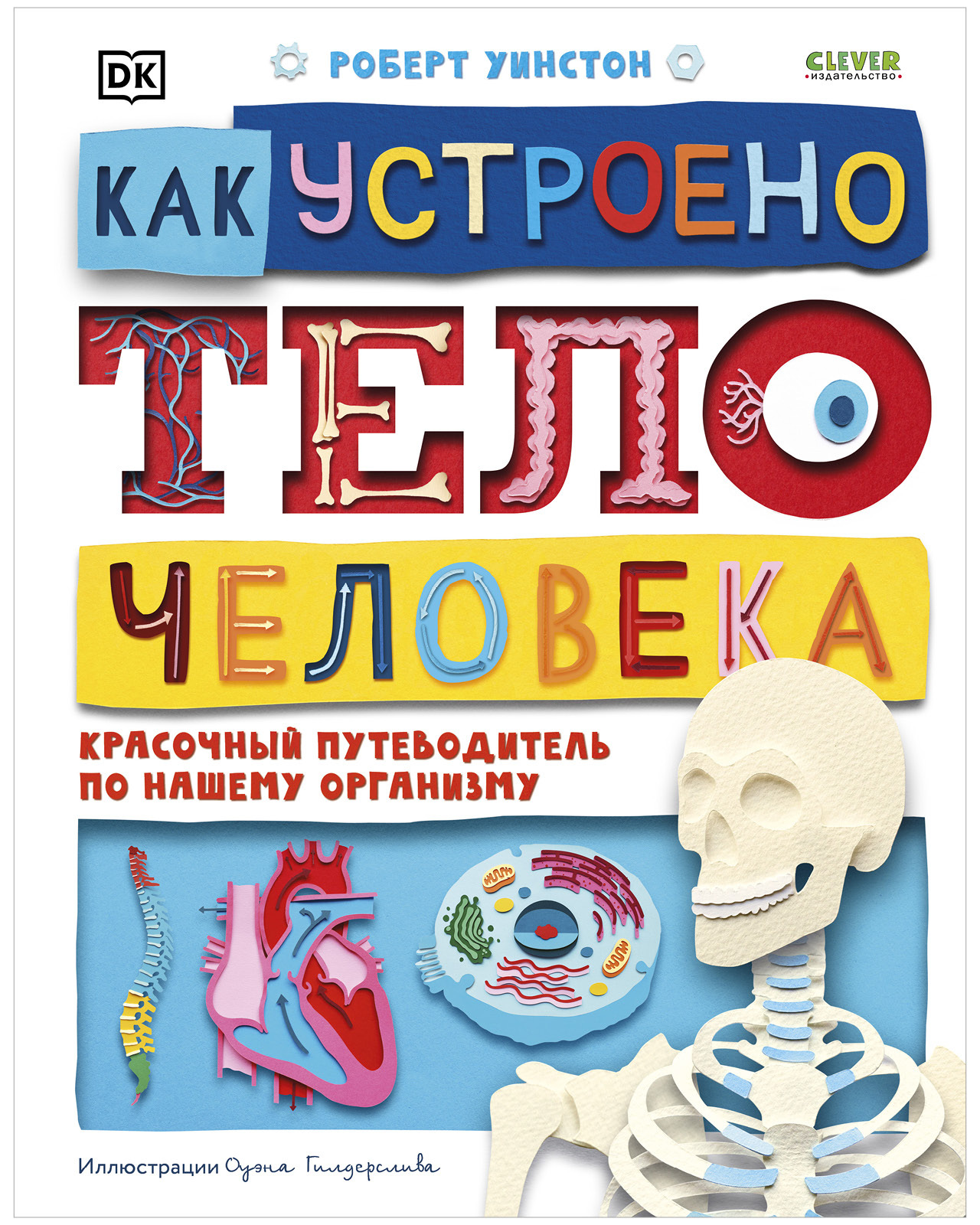 

Как устроено тело человека. Красочный путеводитель по нашему организму