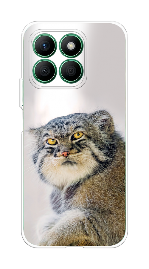 

Чехол на Honor X8B "Кот манул 1", Серый;белый;желтый, 6123250-1