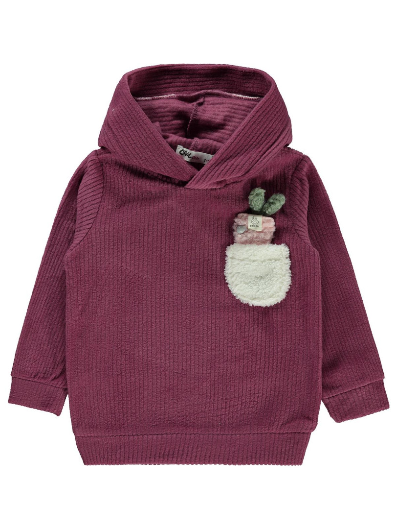 

Толстовка Civil Girls 19A492609K21-1 сливовый 24-36 мес (доставка из-за рубежа), 19A492609K21