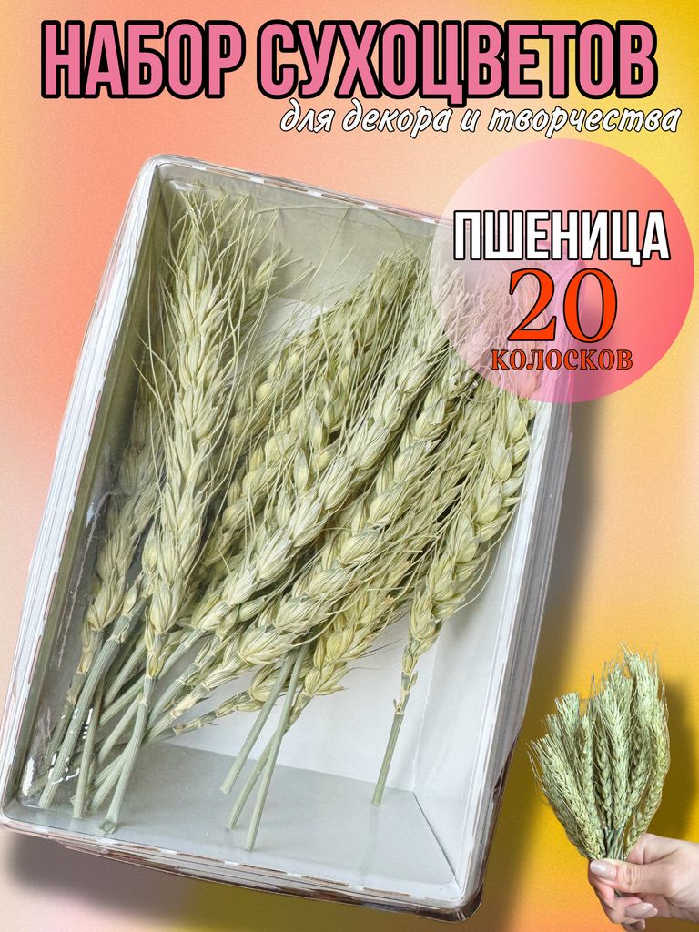 

Колосья пшеницы для декора и творчества, Коричневый, наборы