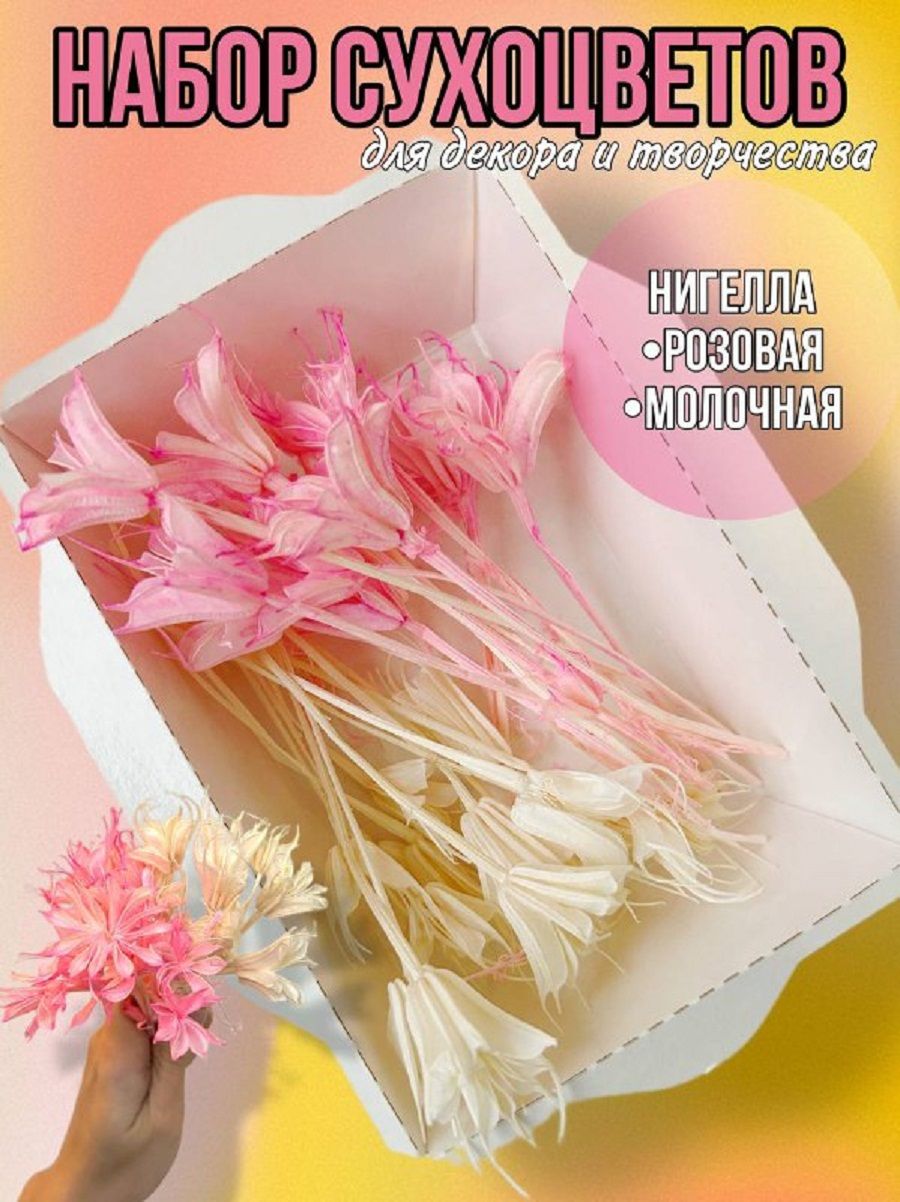 

Сухоцветы для декора и интерьера маленькие, Бежевый;розовый, наборы