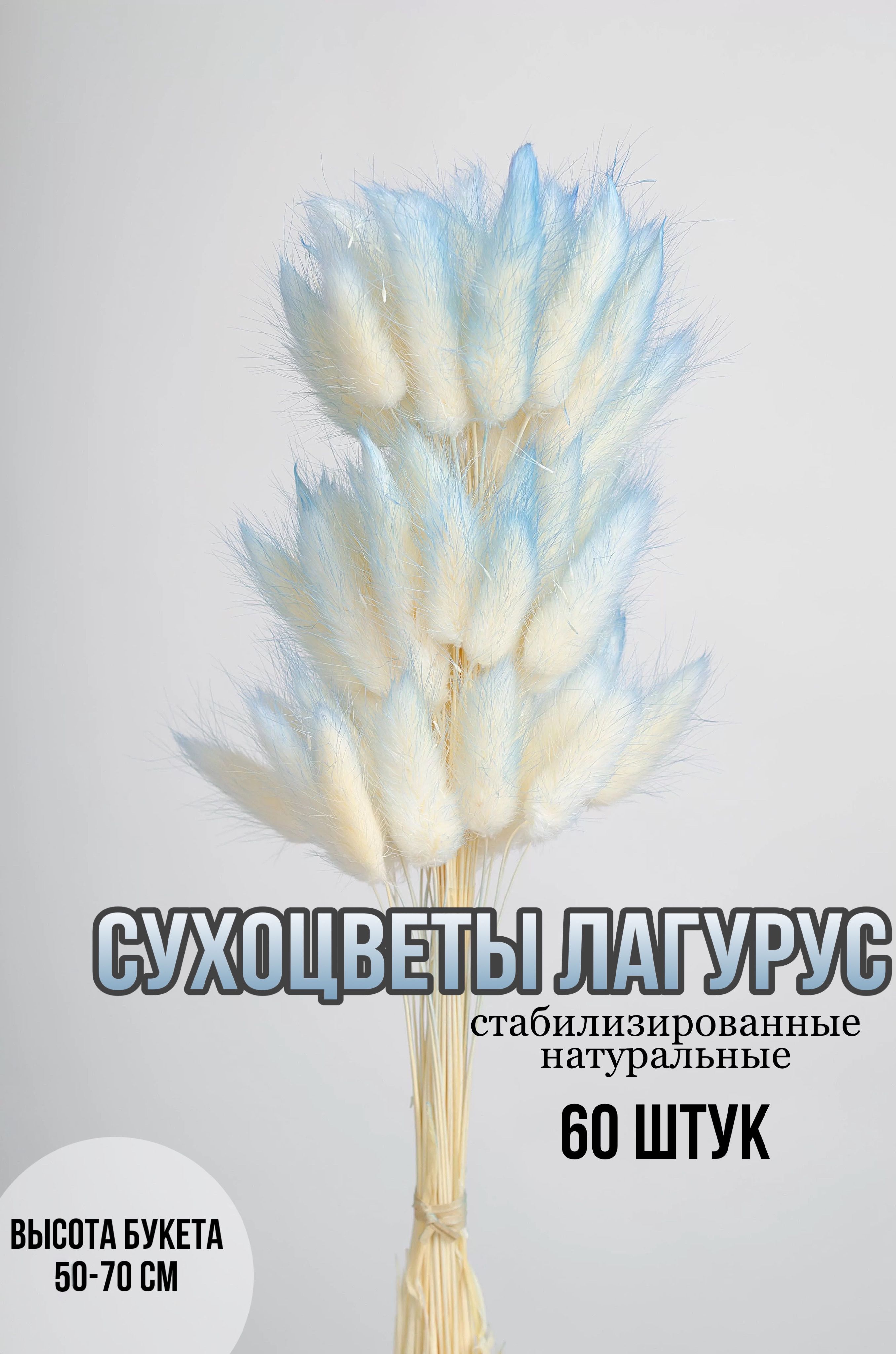 

Сухоцветы для декора и творчества букет лагурус 60шт, Голубой;бежевый, лагурус