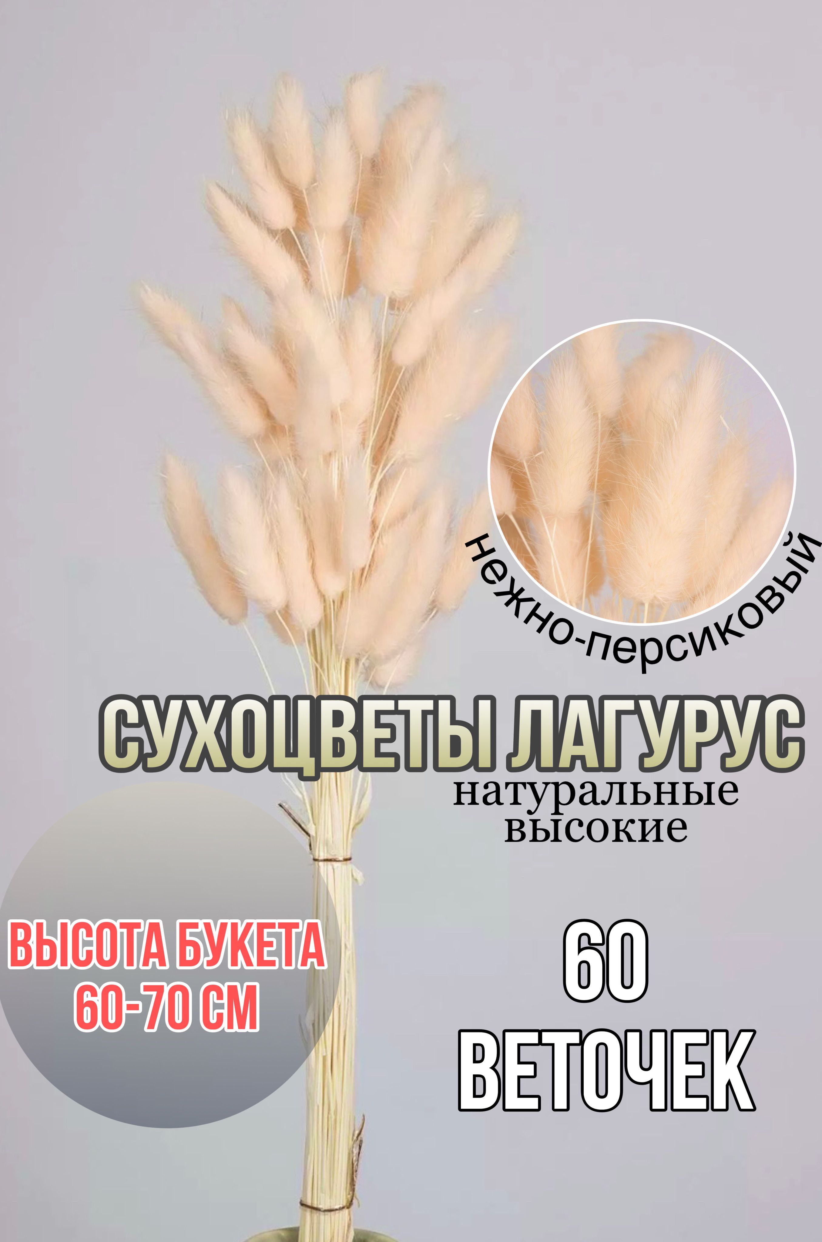 

Сухоцветы для декора и творчества букет лагурус 60шт, Оранжевый, лагурус