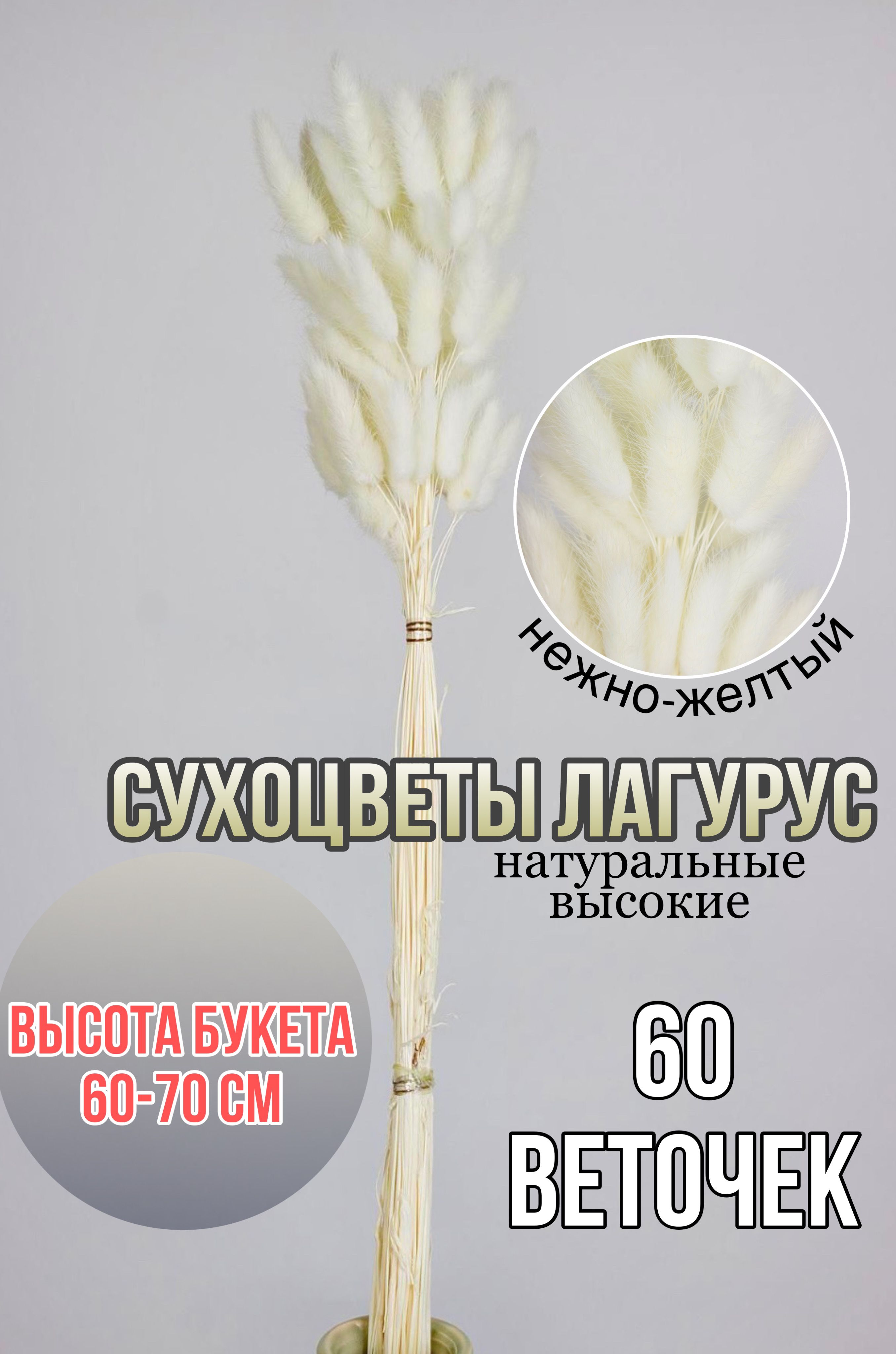 

Сухоцветы для декора и творчества букет лагурус 60шт, Бежевый, лагурус