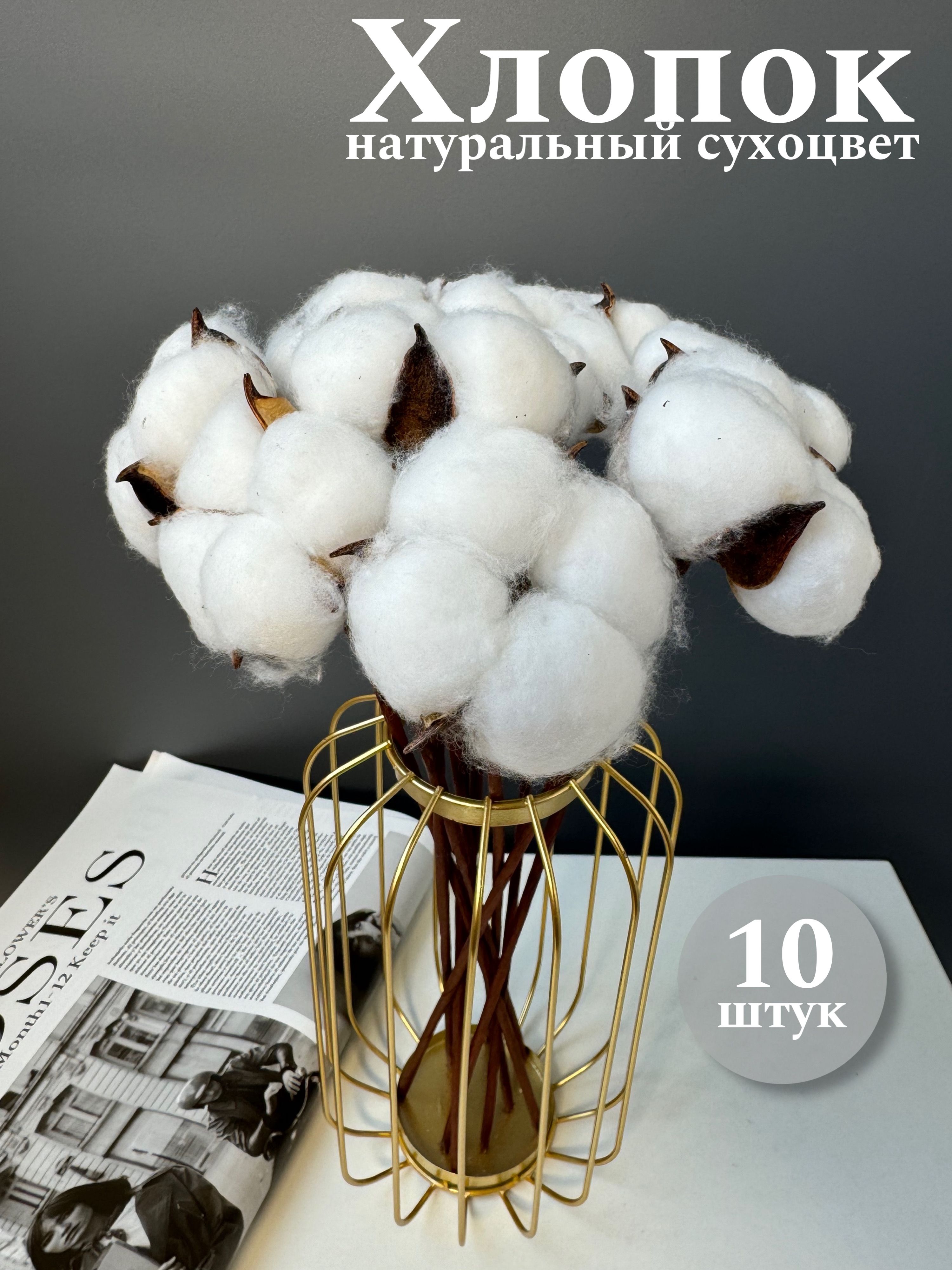 

Сухоцветы для декора и творчества Хлопок голубой, Белый, хлопок