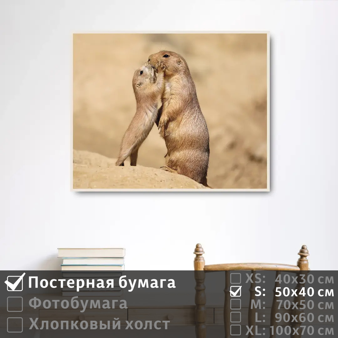 

Постер на стену ПолиЦентр Ребенок суриката целует свою маму 50х40 см, РебенокСурикатаЦелуетСвоюМаму