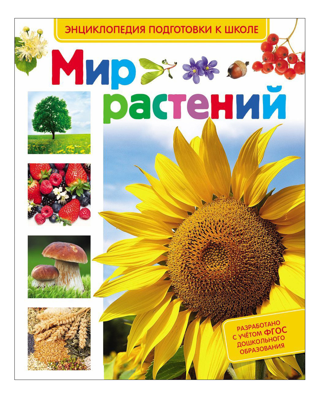 

Мир Растений. Энциклопедия подготовки к Школе. л. Иванова, Мир растений