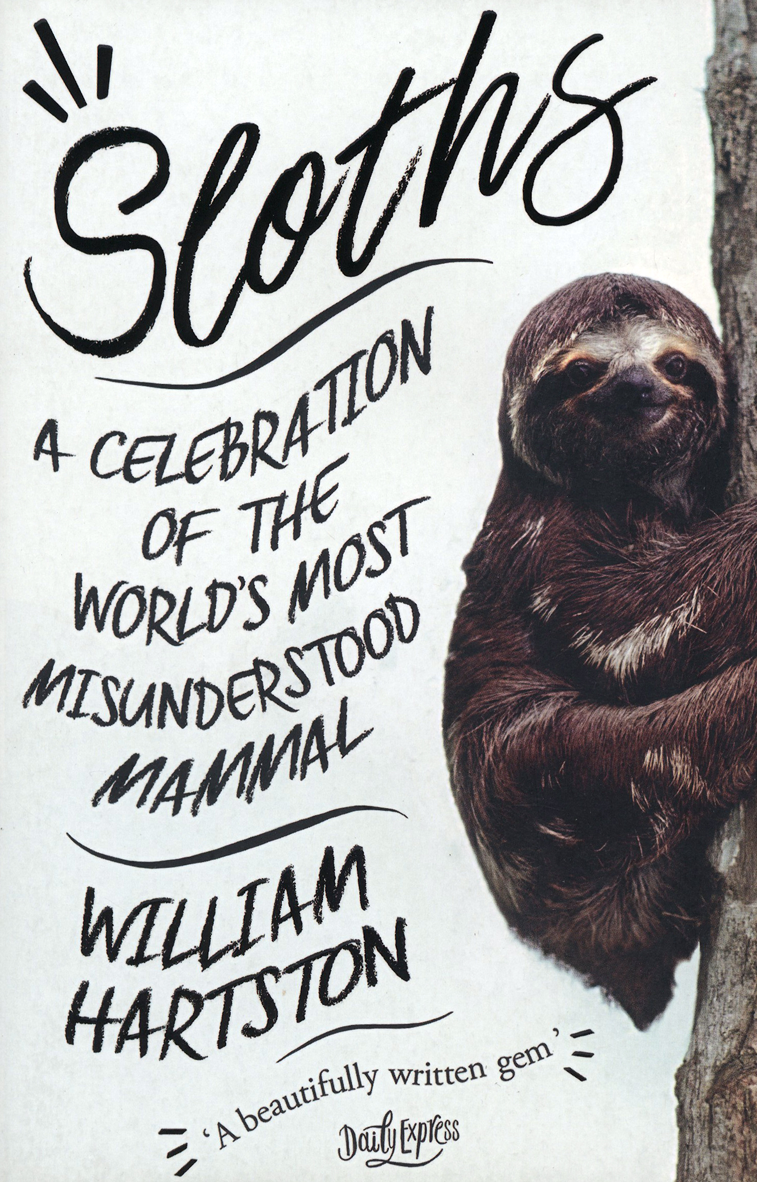 

Sloths A Celebration of the Worlds Most Misunderstood Mammal