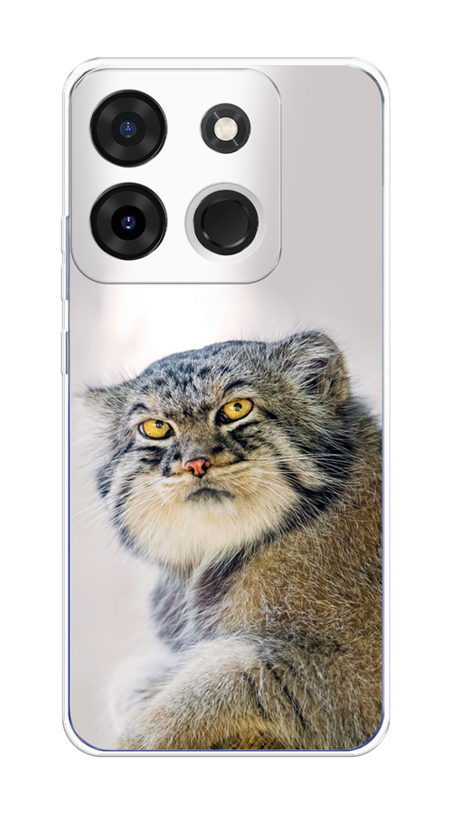 

Чехол на Infinix Smart 7 Plus "Кот манул 1", Серый;белый;желтый, 3103950-1