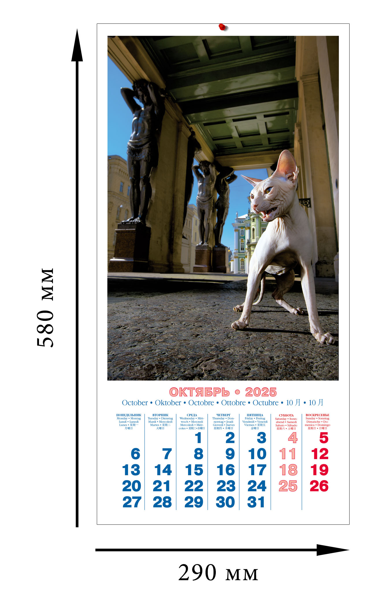 Календарь на скрепке ТД Медный Всадник КР10 на 2025 год Кошки Эрмитажа КР10-25883