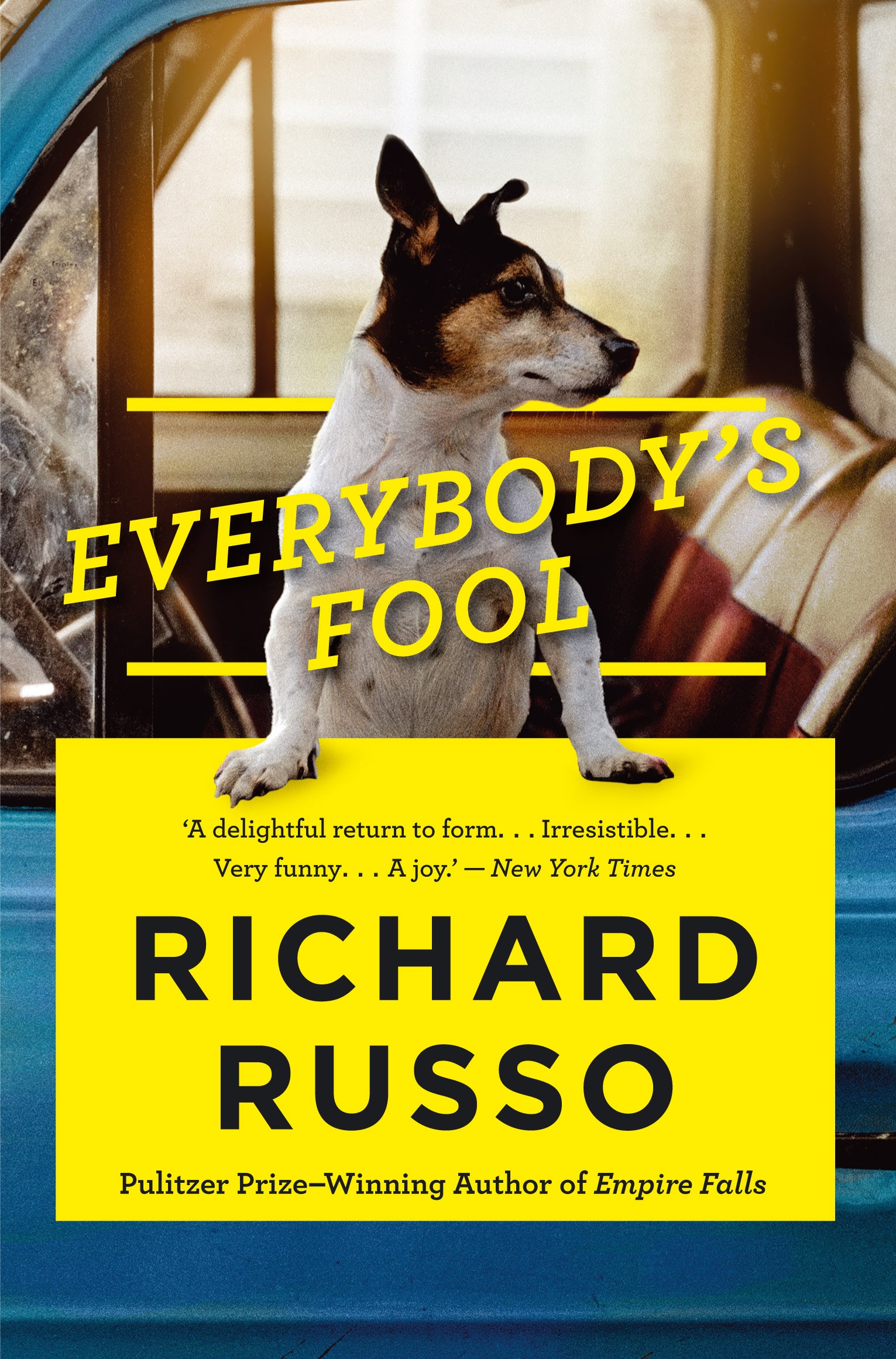 

Everybody's Fool