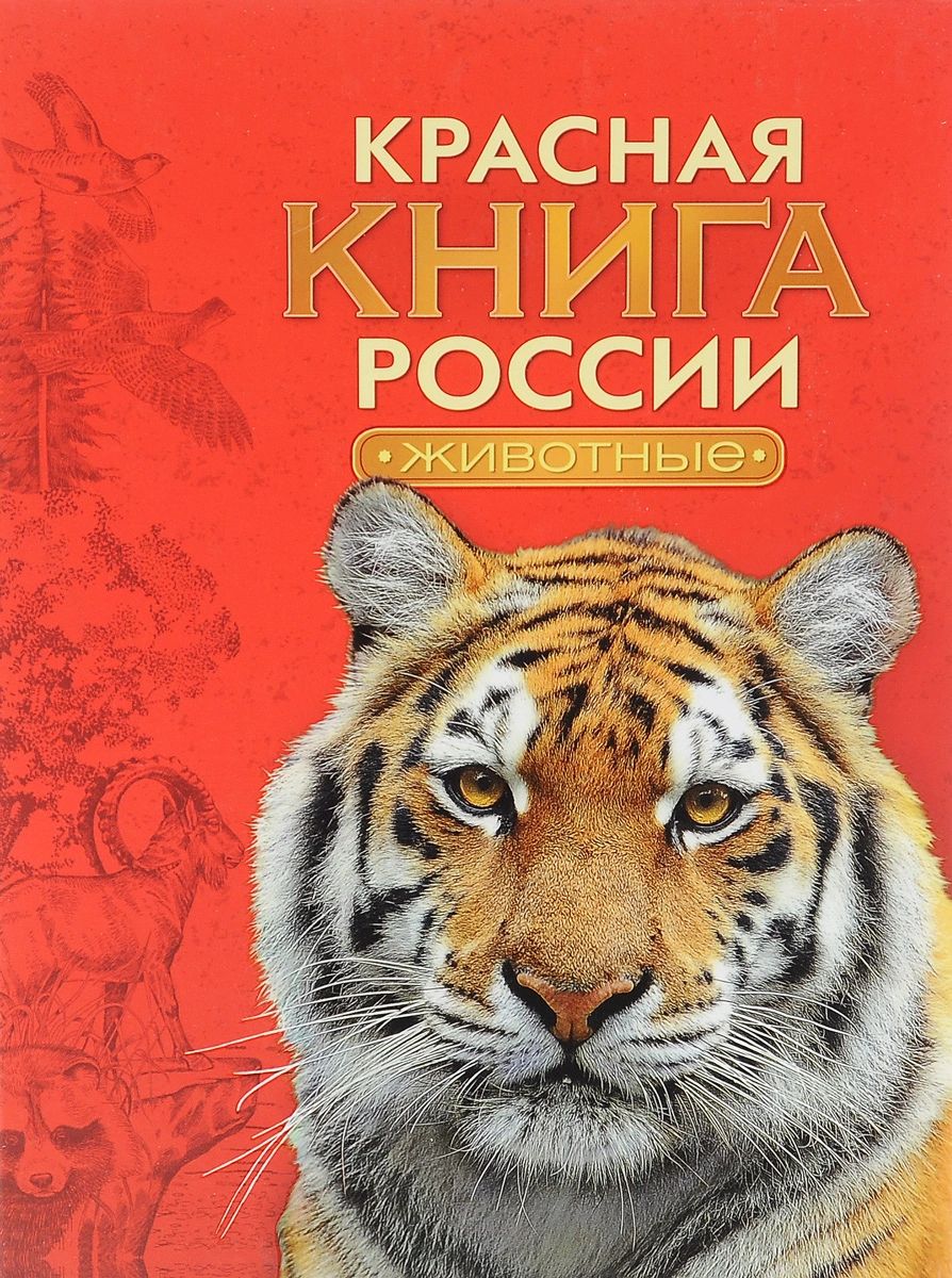 фото Росмэн красная книга россии животные росмэн 27867