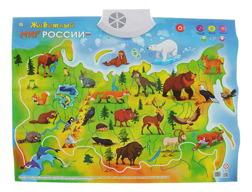 Купить Интерактивный плакат Рыжий Кот Животный мир России ЗП-1560, Рыжий кот,
