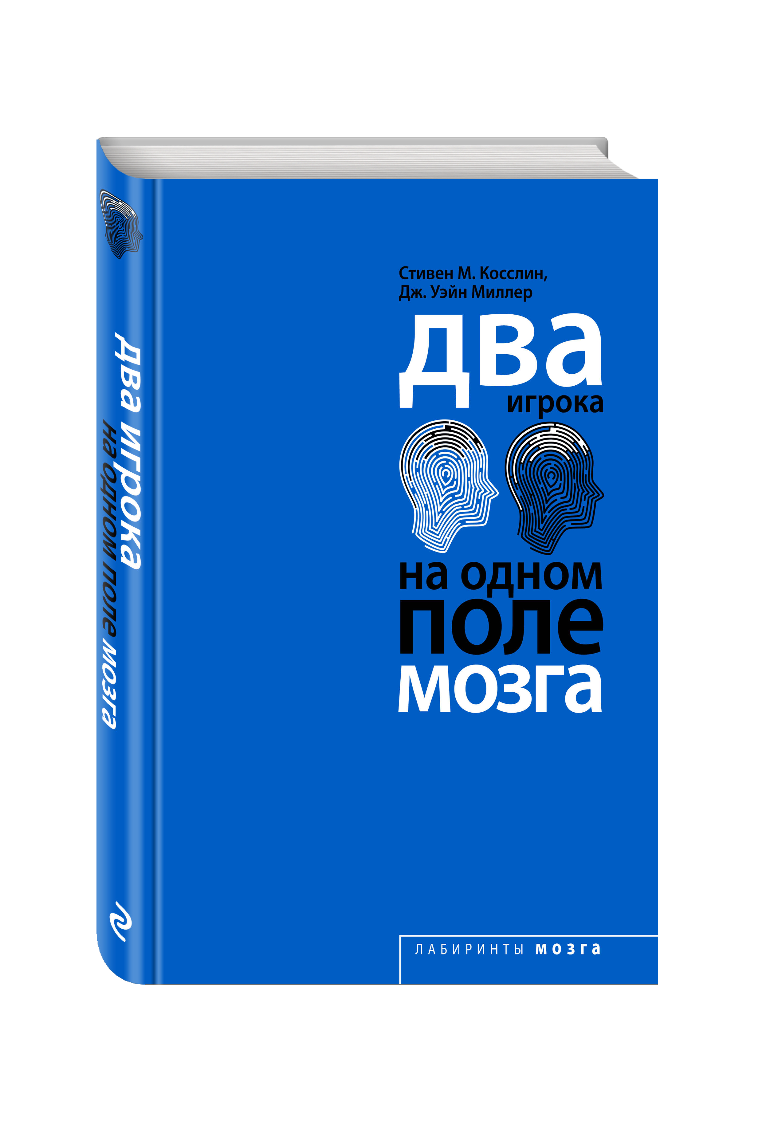 

Два Игрока на Одном поле Мозга