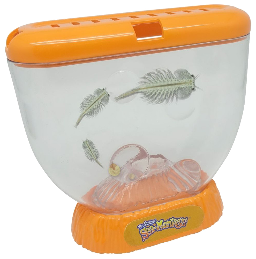 

1 TOY Аквариум Sea-Monkeys для выращивания ракообразных вида Artemia Salina Т13625