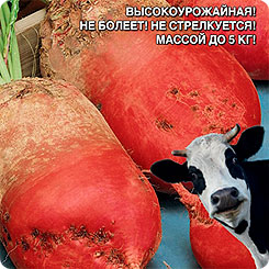 

Семена Свекла кормовая Рекорд Поли, 3 г, Уральский дачник, 217682