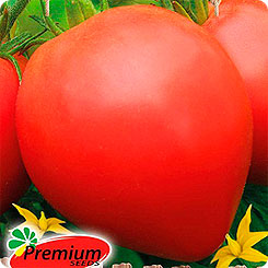 

Семена Томат Душа Сибири F1, 0,05 г, Premium seeds, 197933