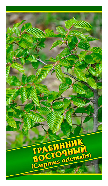 

Семена Грабинник Восточный, 1 г Симбиоз