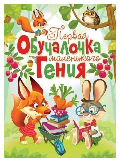 

Первая Обучалочка Маленького Гения