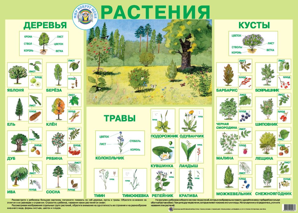 Тех карта 3 класс окружающий мир школа россии