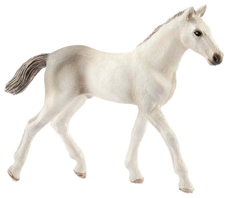 фото Голштинский жеребенок schleich