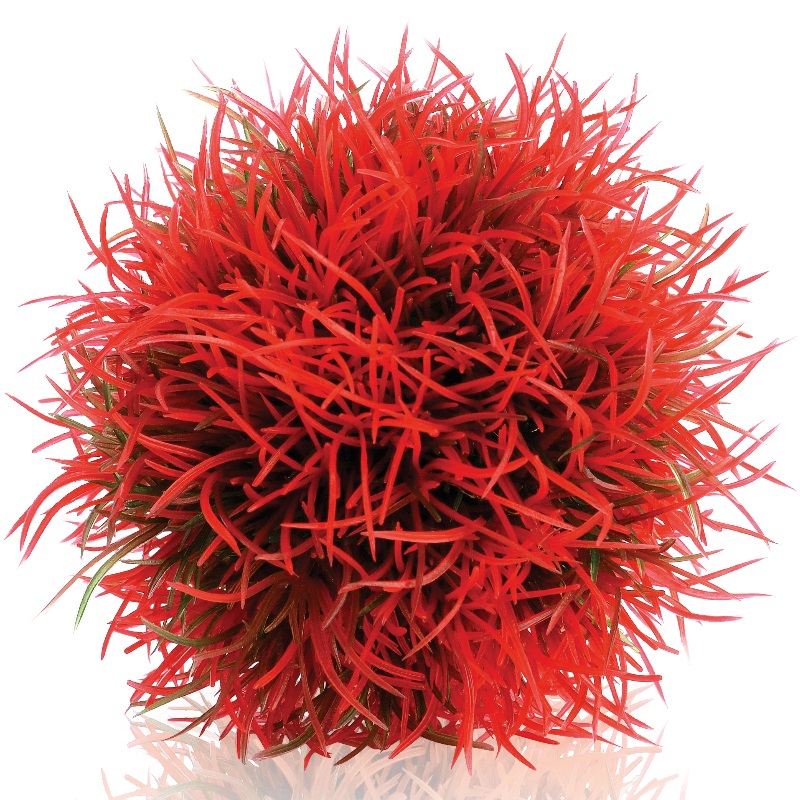 фото Искусственное растение для аквариума biorb красный водный шар, пластик, 10см