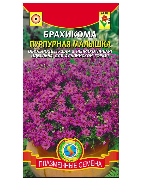

Семена Брахикома Пурпурная малышка, 0,05 г Плазмас