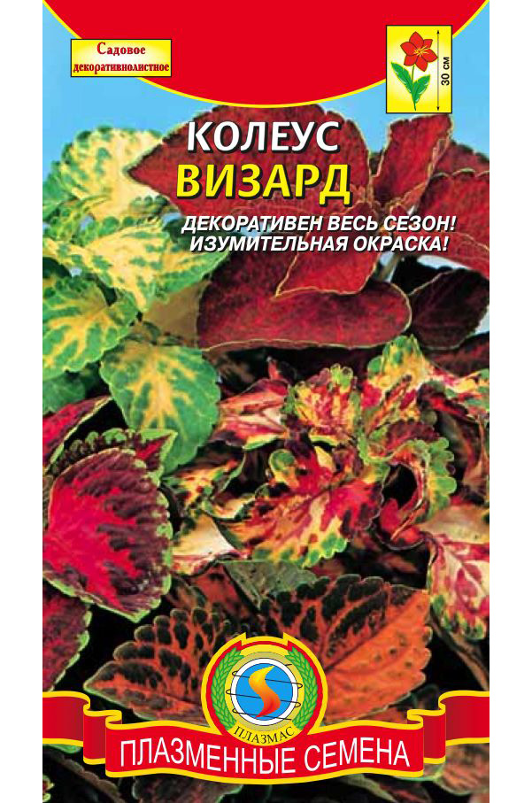 

Семена Колеус Визард, Смесь, 10 шт, Плазмас