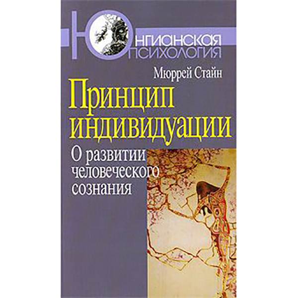 фото Книга принцип индивидуации: о развитии человеческого сознания когито-центр