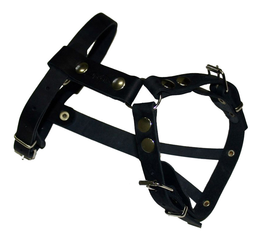Шлейка для собак Аркон Стандарт кожаная, размер 45-64 см x 20 мм, цвет черный