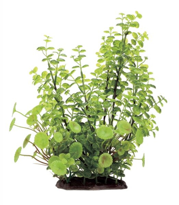 

Искусственное растение для аквариума ArtUniq Cardamine 35, пластик, Cardamine 35
