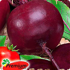 

Семена Свекла столовая Пиковая дама F1, 1 г, Premium seeds, 188592