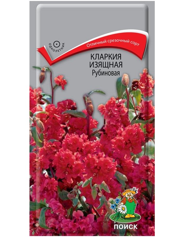 

Семена кларкия Поиск Рубиновая 159602 1 уп.