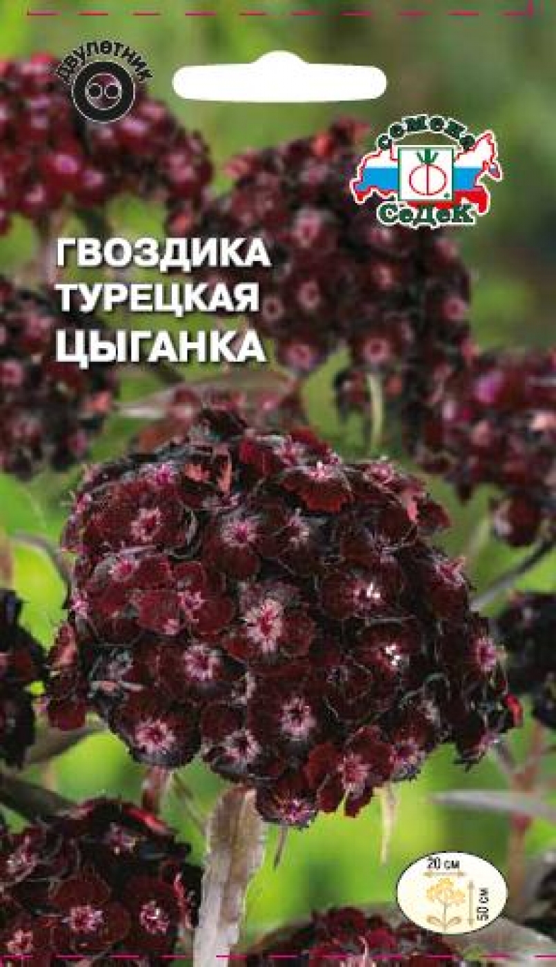 

Семена гвоздика СеДеК Цыганка 186508 1 уп.