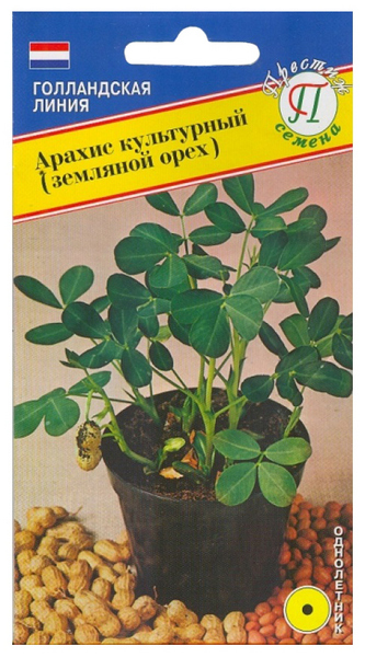 

Семена Арахис Культурный (Земляной орех), 5 шт, Престиж