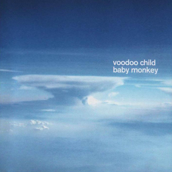 

Moby And Voodoo Child Baby Monkey (RU)(CD)