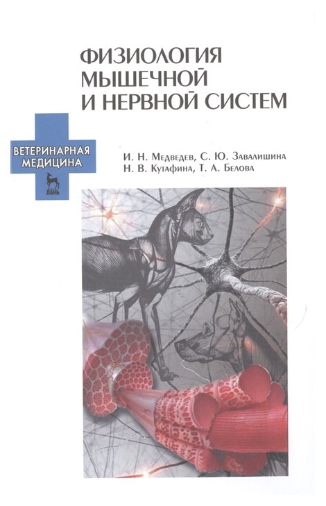 

Физиология Мышечной и Нервной Систем