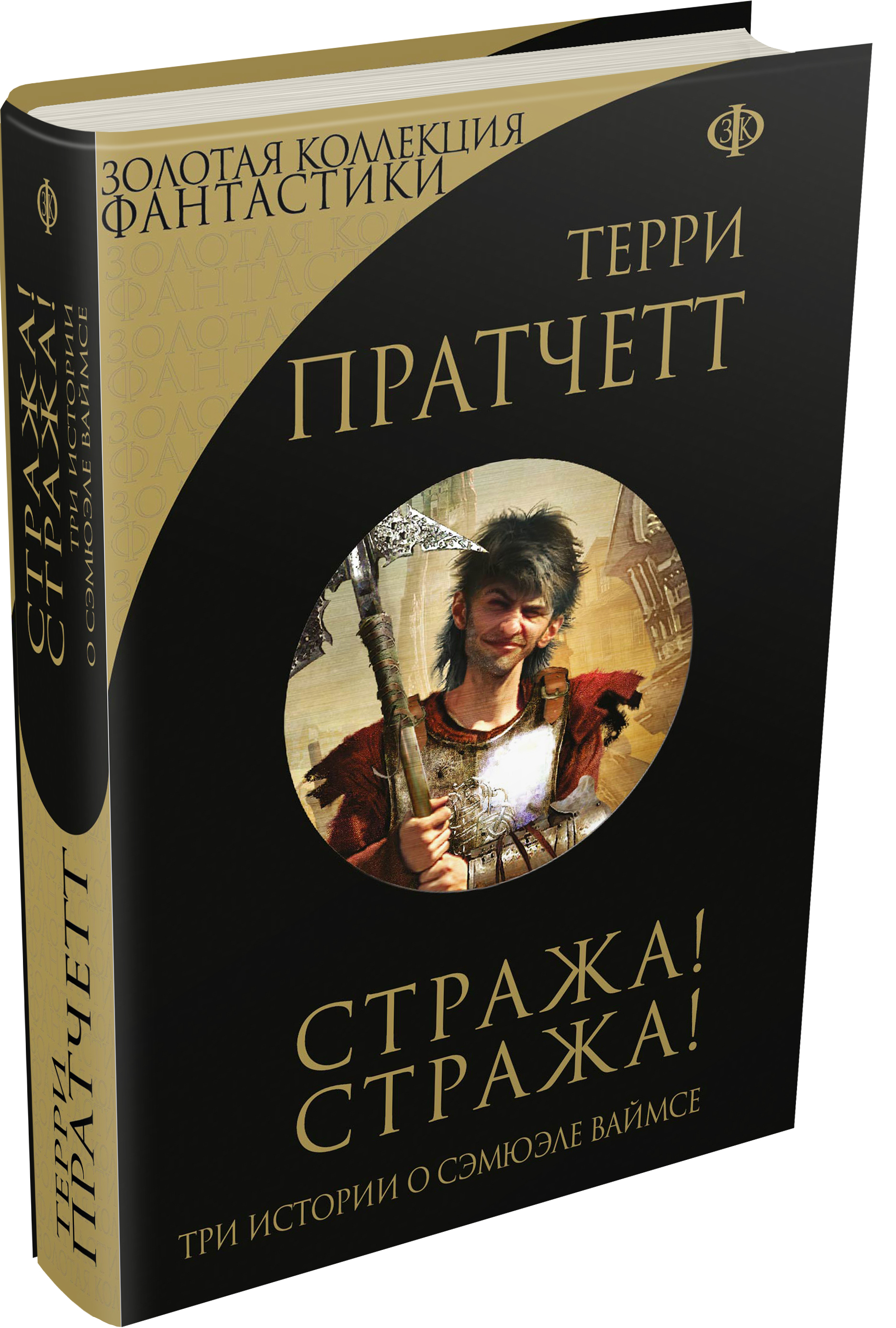 Слушать книгу стража стража