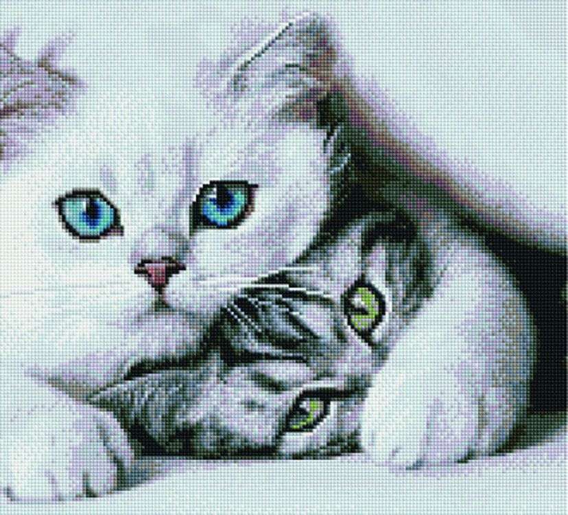 

Алмазная вышивка Painting Diamond Пушистая дружба, 40x50 см, Пушистая дружба