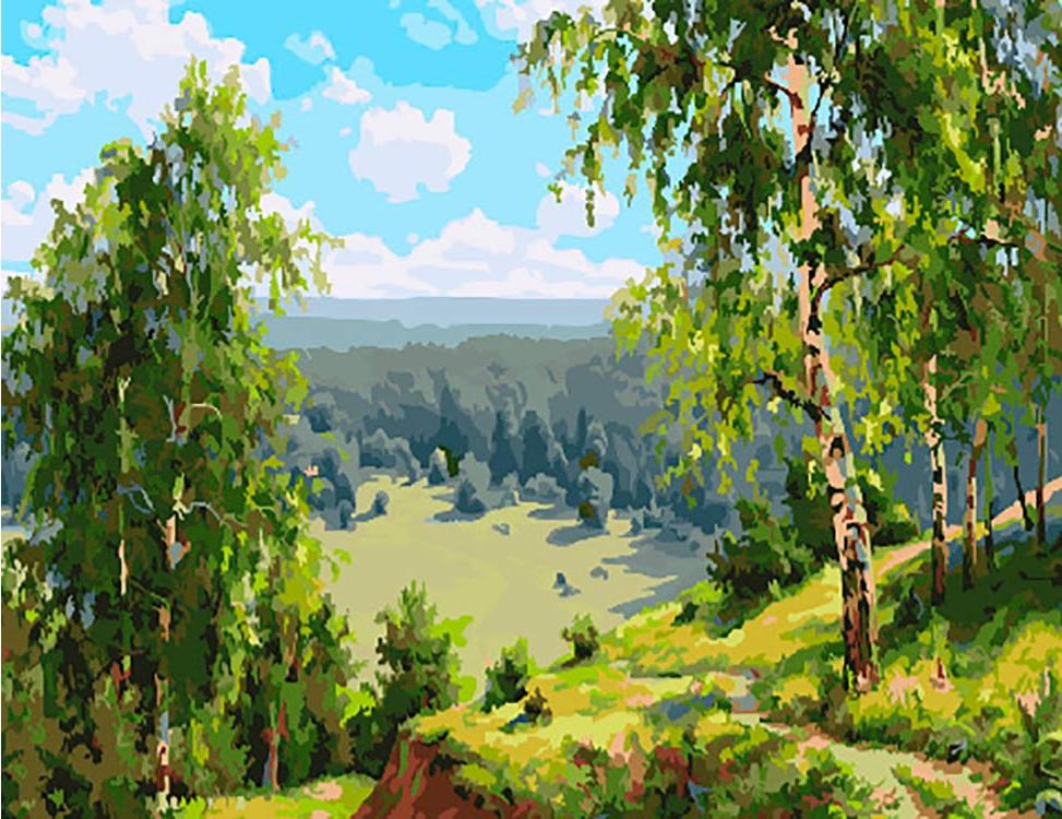 

Живопись по номерам Paintboy Родные просторы 40x50, Родные просторы