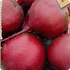 

Семена Свекла столовая Ред Булл, 2 г, Premium seeds, 219861