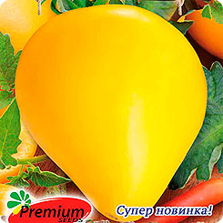 

Семена Томат Золотая буденовка F1, 0,05 г, Premium seeds, 210713