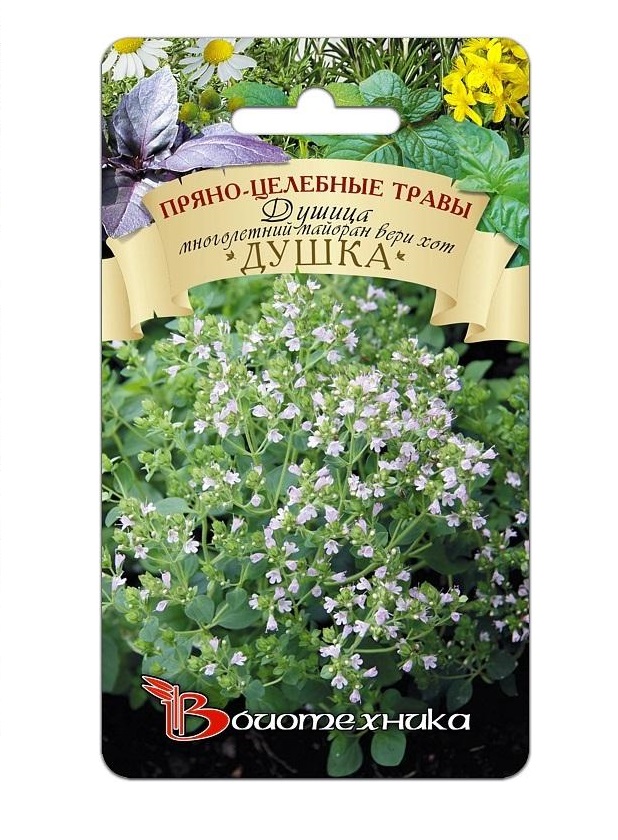 

Семена Душица Душка (многолетний майоран Вери хот), 0,05 г Биотехника
