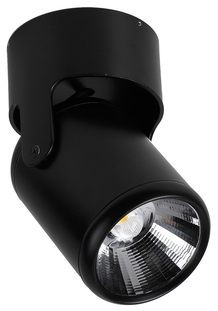 фото Спот favourite 1979-1u led