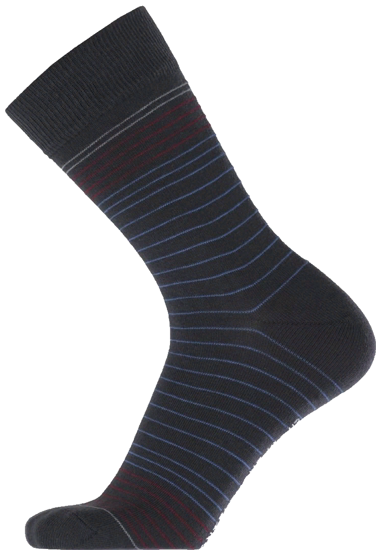 Носки мужские Pantelemone PN-118S25 темно-серые/голубые/бордовые