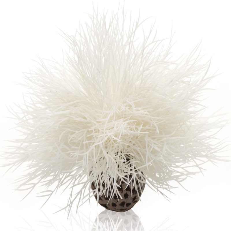 Искусственное растение для аквариума biOrb Белая морская лилия, пластик, керамика, 12см