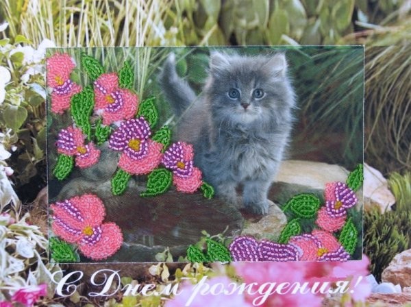 

Набор для вышивания Butterfly 725 Котенок 14х18 см