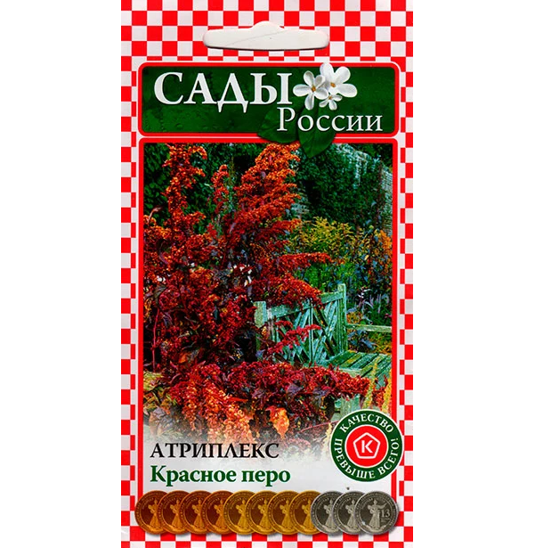 фото Семена атриплекс садовый (лебеда садовая) красное перо, 0,2 г сады россии