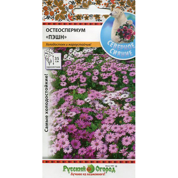 фото Семена цветов остеоспермум пэшн русский огород 99214 0,5 г 1 уп.