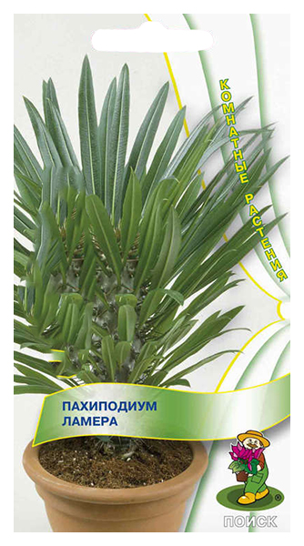 

Семена пахиподиум Поиск Пахиподиум 56222 1 уп.